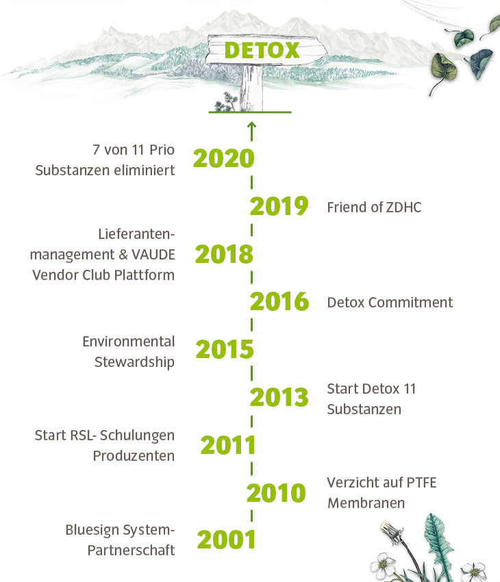 Detox Timeline