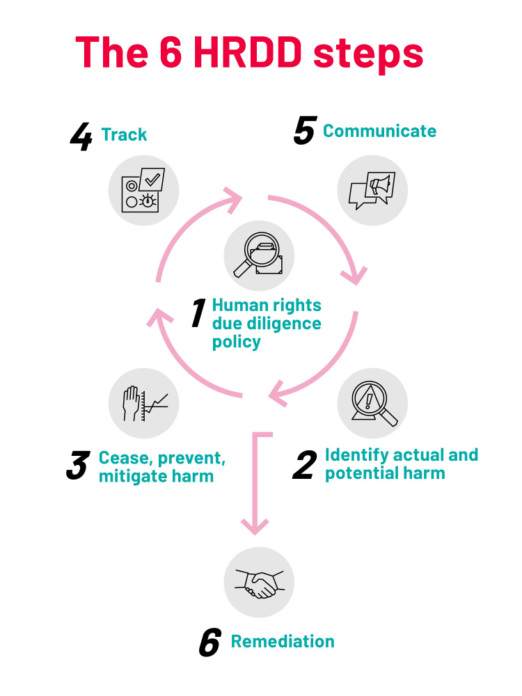 The 6 HRDD steps