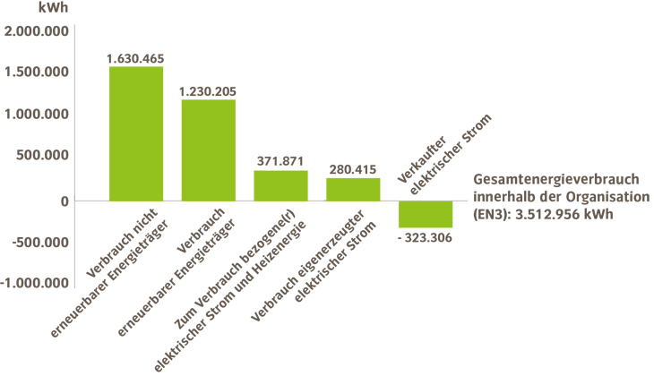 Gesamtenergieverbrauch innerhalb der Organisation