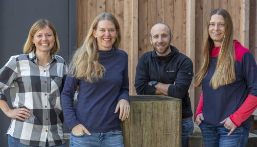 Über Frauen in Führungspositionen, Frauenquote und gute Führung