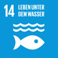 SDG 14 - Leben unter dem Wasser